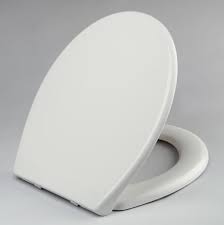 Someone mentioned to me that if one is unaware of this feature (as a house guest may be) or you have young children, and you force the seat down instead of letting if fall on its own, you will break the mechanism. China Toilet Seat Soft Close Quick Release Top Fix Easy Clean Durable Oval Shape China Family Toilet Seat Family Plastic Toilet Seat