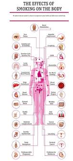 Pin On General Healthcare Wellness