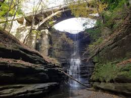 Here are ten of the best: Cascade Falls In Oglesby Illinois Is An Autumn Waterfall At A State Park