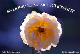 Schöne Sprüche Wunderschön Kurze Spruechecom