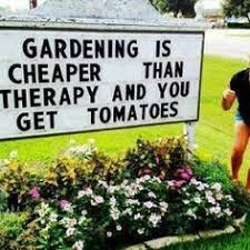 Browse through different shirt styles and colors. 65 Funny Gardening Quotes Memes Ideas Garden Quotes Gardening Memes Funny Gardening Memes