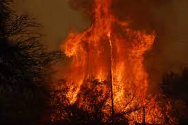 Aug 09, 2021 · la voz del interior. Infocampo Incendios Extienden Hasta Julio De 2021 La Declaracion De Desastre Agropecuario En Cordoba