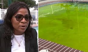 Pools at NJ motels and homes turned neon by drone operator Patrick Spina IV  who is accused of using planes to drop dye packs to terrorize neighborhood 