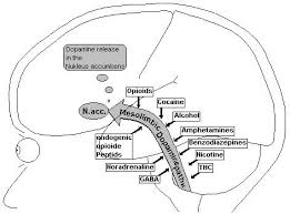 Signs And Symptoms Of Drug Abuse By Drug Psychiatry