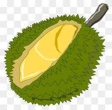 Koleksi oleh arif budiharto • terakhir diperbarui 5 minggu lalu. Durian Clipart Png Download 5459011 Pinclipart