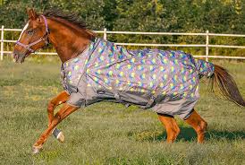 showman unicorn print 1200 denier waterproof turnout blanket