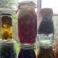Natural Dye Workshop event image