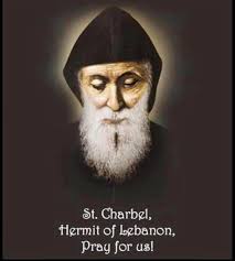 The Death of Patriarch Nasrallah Peter Cardinal SFEIR: A Man of God; a  Symbol of Lebanon; a Hero of Faith, Family, and Freedom; A Holy High  Priest: Sanctifier, Teacher and Good Shepherd;