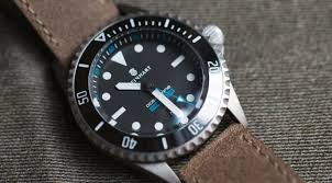 10 Things You Didn T Know About Steinhart Watches The seiko skx007, the orient mako or the orient ray. steinhart watches