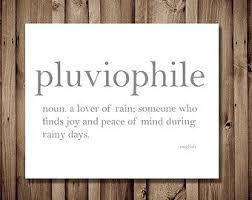 Pluviophile Lover Of Rain Dictionary Art Print Word Definition Typography Cozy Home Decor Literature Word Definitions Unusual Words Dictionary Art Print