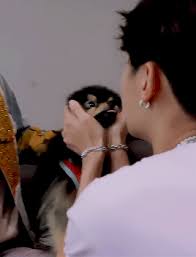  900 Bts Bt21 Ideas In 2021 Bts Bts Boys Bts Pictures