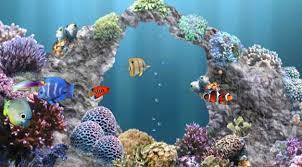 Computer Free Hd Wallpapers Free Live Wallpapers For Pc Live Wallpaper For Pc Free Live Wallpapers Moving Wallpapers For Android