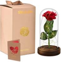Die schöne dachte eine weile nach und sagte dann: Die Schone Und Das Biest Rose Ewige Rose Im Glas Real De