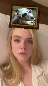 ellen fanning stories