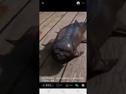 Fish With Human Face Caught In Japan Youtube