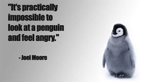 Its Practically Impossible To Look At A Penguin And Feel Angry Joel Moore Penguin Quotes Penguins Quotes