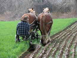Watch as ted shows us again, this time with the right size tractor, how to plow a garden and get it ready for some home grown vegetables. Fjordworks Plowing The Market Garden Part 2 Small Farmer S Journal