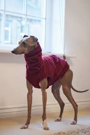 Deze Vesten Zijn Groot Voor Het Toevoegen Van Een Andere Laag Van Warmte Zij Kunnen Worden Gedragen Rond Het Hu Italian Greyhound Greyhounds Clothes Greyhound