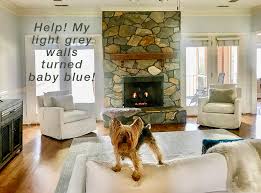 For living room paint color ideas that complement your decor, check out the @westelm 2019 fall/winter colorful transitional living room makeover. Ask Maria Help My Light Grey Walls Look Baby Blue Maria Killam