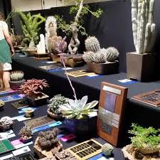 Long beach cactus and succulent society. Cactus And Succulent Society Of America Home Facebook