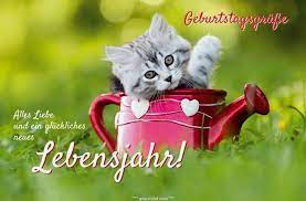 Sie werden sich freuen und du wirst deren geburtstag etwas versüßen. Geburtstag Bilder Tiere Geburtstag Bilder Geburtstag Lebensweisheiten Geburtstag