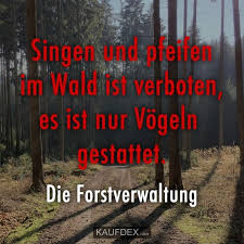 Pin Auf Lustige Zitate