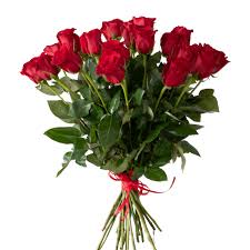 Regala 50 rose rosse per qualcuno che ami, perché. Rose Rosse Gambo Lungo Fioreria Gazebo Online