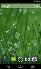 Jul 06, 2016 · download green grass live wallpaper apk 1.0.1 for android. Grass Live Wallpaper For Pc Windows Or Mac For Free