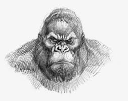 King Kong Drawing Easy Free Transparent Png Download Pngkey So, after you put it in, create a v sign right above it (01 min 10 those two curves will make the nose look more realistic (02 min 53 sec). king kong drawing easy free