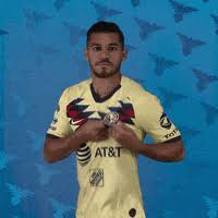 Because systemic inflammation is energetically expensive, its metabolic costs may result in organ dysfunction/failure. Paul Aguilar Gifs Get The Best Gif On Giphy