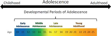 1 Introduction The Promise Of Adolescence Realizing Opportunity For All Youth The National Academies Press