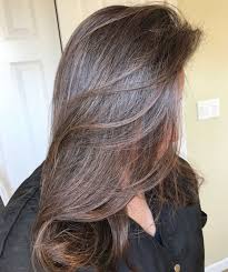 Dark Brown Gray Coverage Cover Gray Hair Naturally Blending Gray Hair Natural Gray Hair