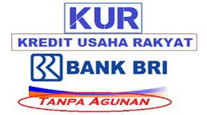 Check spelling or type a new query. Kur Bri 2022 Tabel Pinjaman Kur Bri 2021 Jenis Syarat Bunga Cara Pengajuan Kur Bri 2022 2 Helpmewritebetter