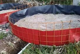 Namun, kandungan gizi pada ikan yang mendapat julukan snakehead ini adalah yang paling tinggi. Biaya Pembuatan Kolam Terpal Dan Kolam Semen Atau Beton The Best Cloud And Web Hosting