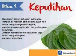 Pelbagai kaedah terbaik hilangkan masalah gegata yang menyeksakan anda! Petua Menghilangkan Masalah Keputihan Dengan Daun Sirih Wannura Petua Amalan