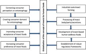 I think this is year. Transforming Insect Biomass Into Consumer Wellness Foods A Review Sciencedirect