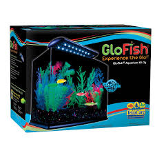 Glofish Crescent Hidden Blue Led Light And Internal Filter Aquarium Kit 3 Gallons 13 L X 7 W X 12 H Petco Aquarium Kit Glofish Aquarium Glofish