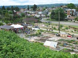 Find & download free graphic resources for food forest. America S First Food Forest From Ground Level To Canopy Urban Agriculture Is Growing Seattle