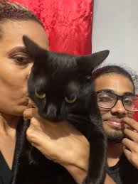 MP Out in St. Augustine