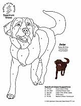 Stained Glass Patterns for FREE