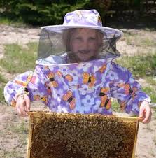 Honey, Raw, Local, Bees, Natural, Pure