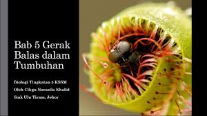 Untuk membukanya komputer anda harus. Bijak Tekun Nota Kreatif Biologi Tingkatan 5 Bab 5 Cute766