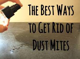 Maybe you would like to learn more about one of these? 12 Guaranteed Ways To Get Rid Of Dust Mites In Your House Dengarden