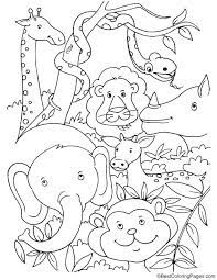 Tropical Rainforest Animals Coloring Page Animal Coloring Pages Coloring Pages Rainforest Animals