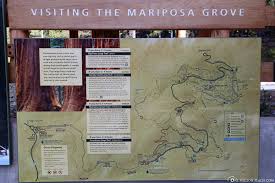 Tuolumne grove of giant sequoias is open year round. Yosemite National Park Mariposa Grove The Grizzly Giant Usa