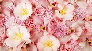 As i mentioned above, the crop on desktop is now only 303 tall if you use the 820 pixel width. 47 Cute 2048 By 1152 Wallpaper On Wallpapersafari