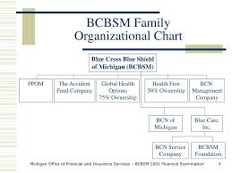Ppt 2001 Financial Examination Blue Cross Blue Shield Of