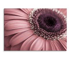 wandbild 60x40cm naturfotografie bilder blumen bilder pflanzen garten bilder ideen natur flower blumenrahmen leinwand fur wohnzimmer naturfotografie blumen