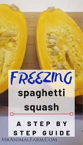 Can You Freeze Spaghetti Squash A Food Preservation Guide Spaghetti Squash Freezing Spaghetti Squash Spagetti Squash
