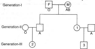 Study The Following Pedigree Chart Of A Family Starting